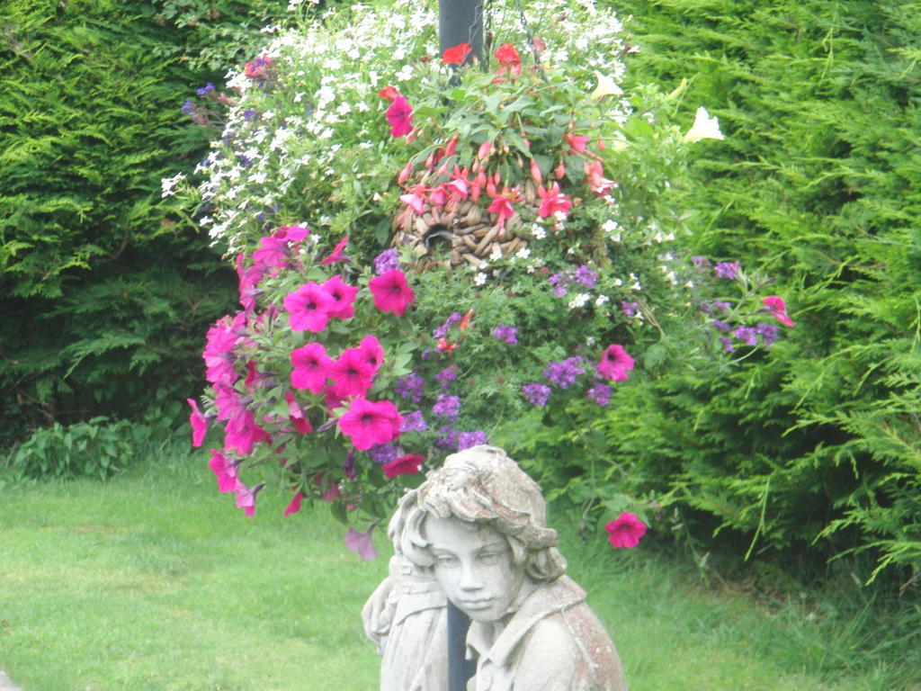 Bed and Breakfast Woodlands House Farranfore Exterior foto
