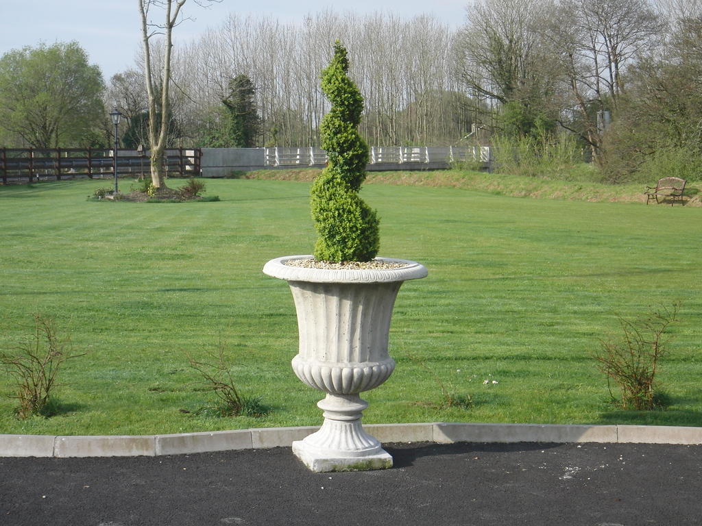Bed and Breakfast Woodlands House Farranfore Exterior foto